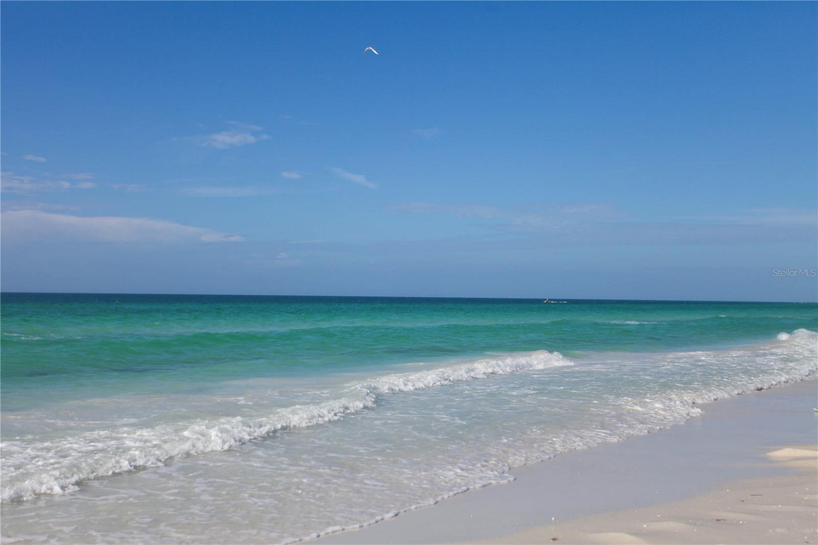 CASA MAR - Residential Lease