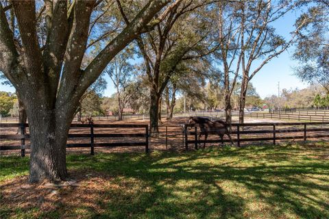 Tiny photo for 10 Carry Back Road, Ocala, FL 34482 (MLS # OM720466)