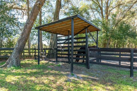 Tiny photo for 10 Carry Back Road, Ocala, FL 34482 (MLS # OM720466)