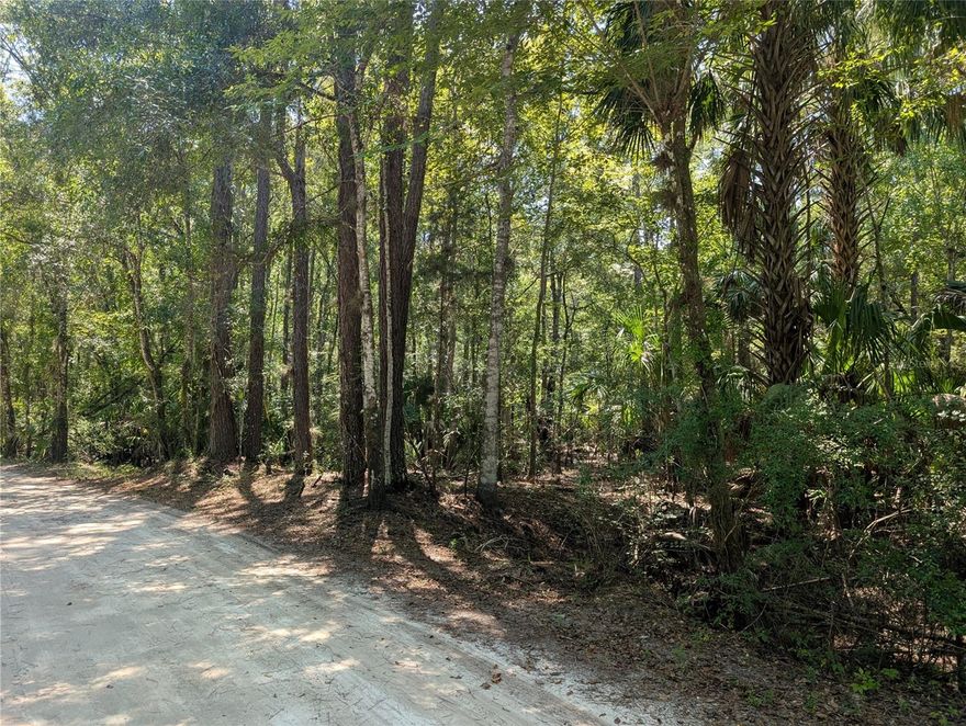 Welcome to your new 1.34 ACRE oasis! No Hoa/CDD. Single Family/Mobile homes are allowed. Lot needs to be cleared and all utilities need to be ran. Electric access is at the street. This property can be transformed into a slice of paradise right off of the Withlacoochee River. Buyer to verify all Measurements and County information.