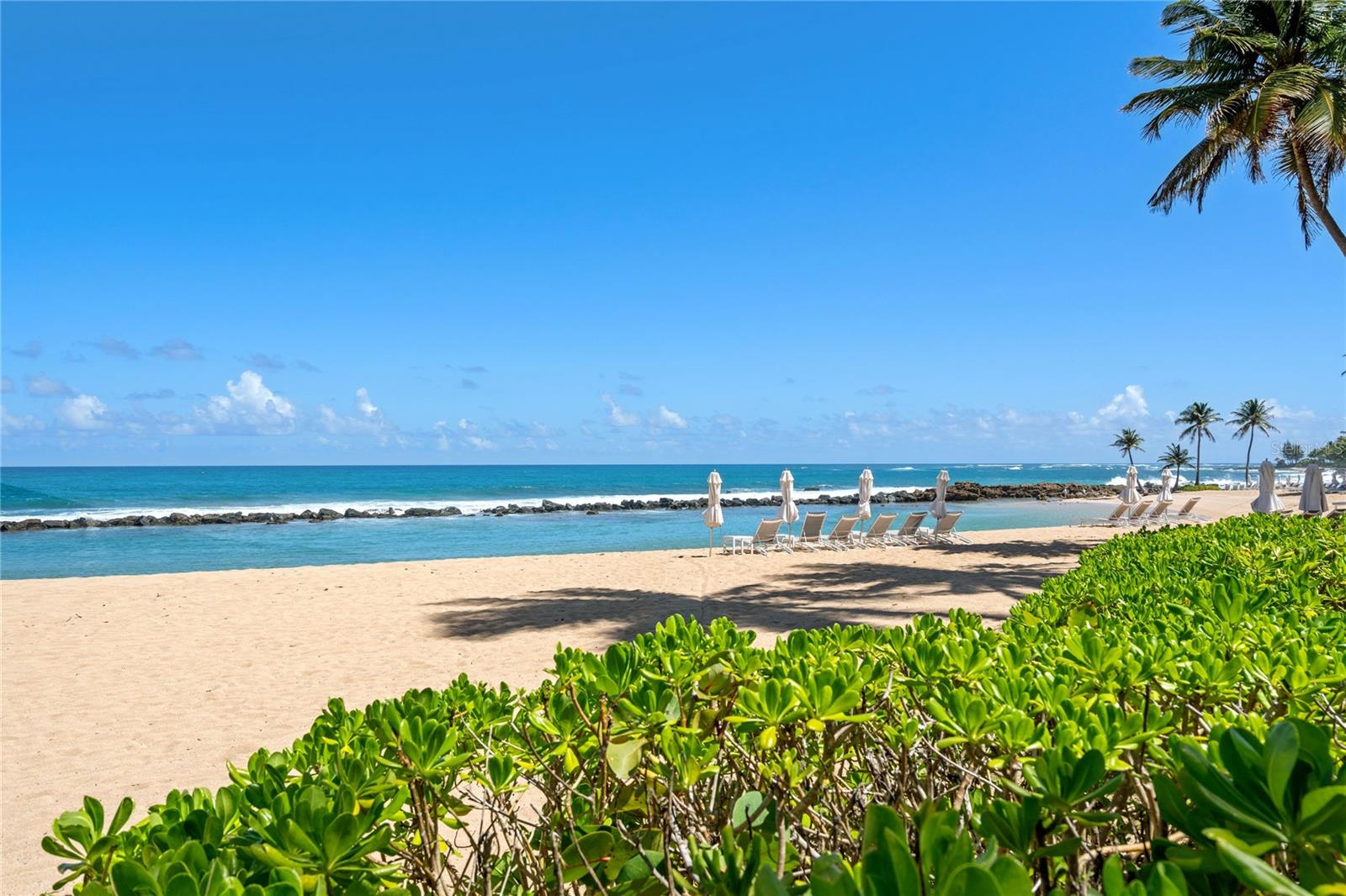 WEST BEACH RESIDENCES - Residential