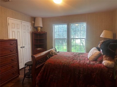 Tiny photo for 15225 NE 246th Avenue, Salt Springs, FL 32134 (MLS # OM706819)