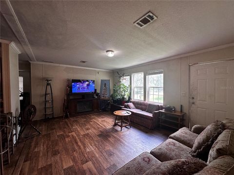 Tiny photo for 15225 NE 246th Avenue, Salt Springs, FL 32134 (MLS # OM706819)