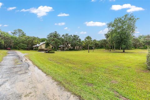 Tiny photo for 15225 NE 246th Avenue, Salt Springs, FL 32134 (MLS # OM706819)