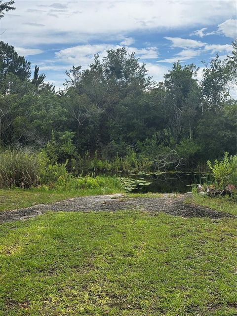 Tiny photo for 15225 NE 246th Avenue, Salt Springs, FL 32134 (MLS # OM706819)