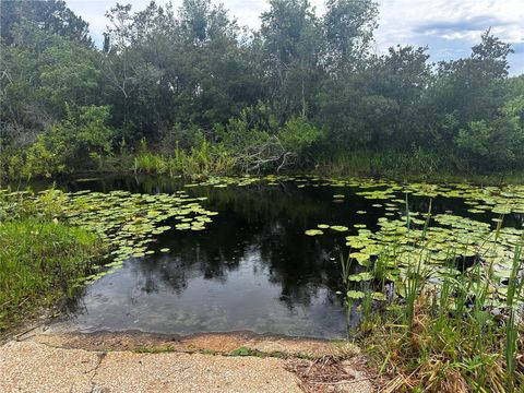 Tiny photo for 15225 NE 246th Avenue, Salt Springs, FL 32134 (MLS # OM706819)