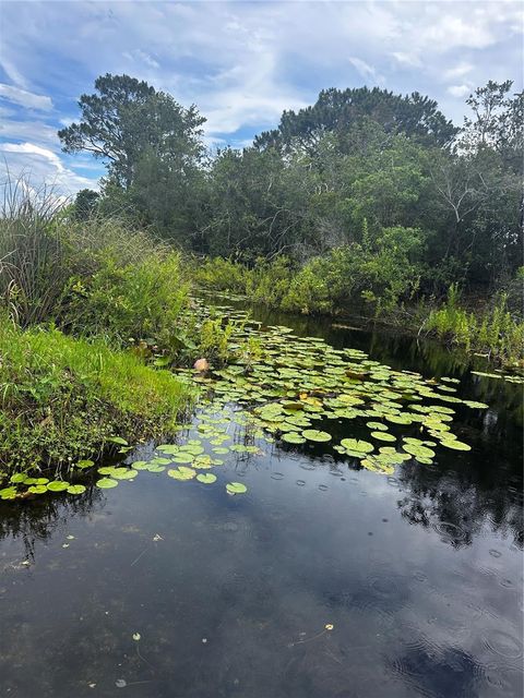 Tiny photo for 15225 NE 246th Avenue, Salt Springs, FL 32134 (MLS # OM706819)