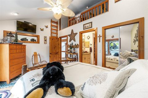 Tiny photo for 15225 NE 246th Avenue, Salt Springs, FL 32134 (MLS # OM706819)