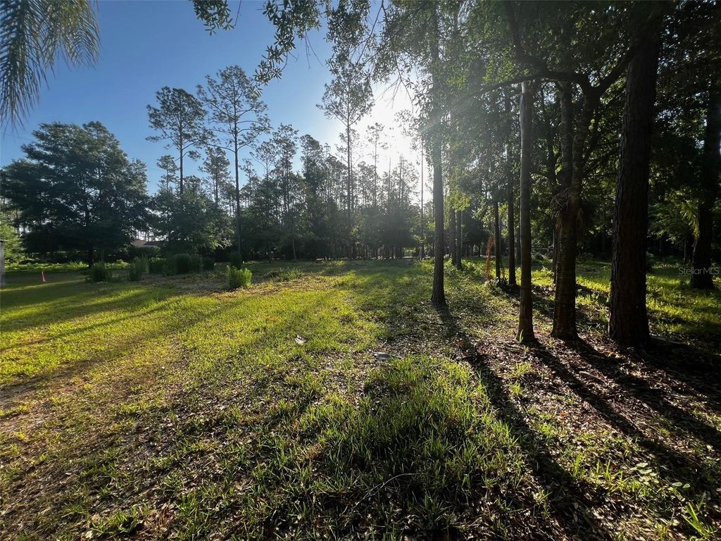 Photo of Newberger, Lutz, FL 33549 (MLS # TB8388052)
