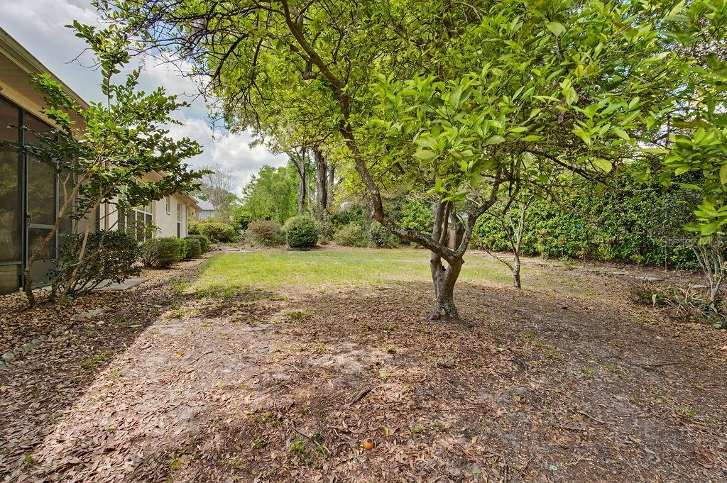 RAINBOW SPGS 05 REP - Residential