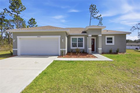 Photo of 13163 SW 70th Court, Ocala, FL 34473 (MLS # OM719598)
