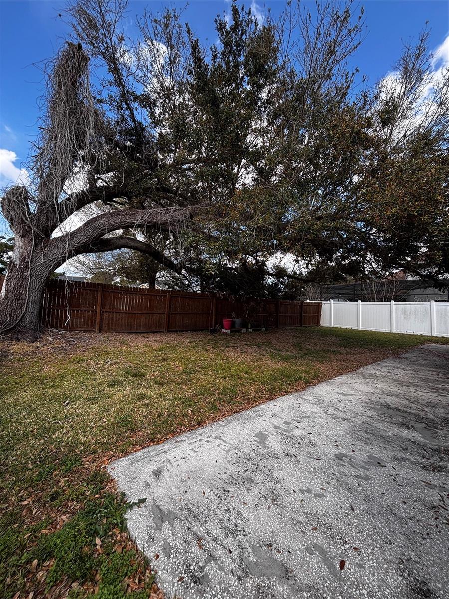 HAMPTON PARK - Residential Lease