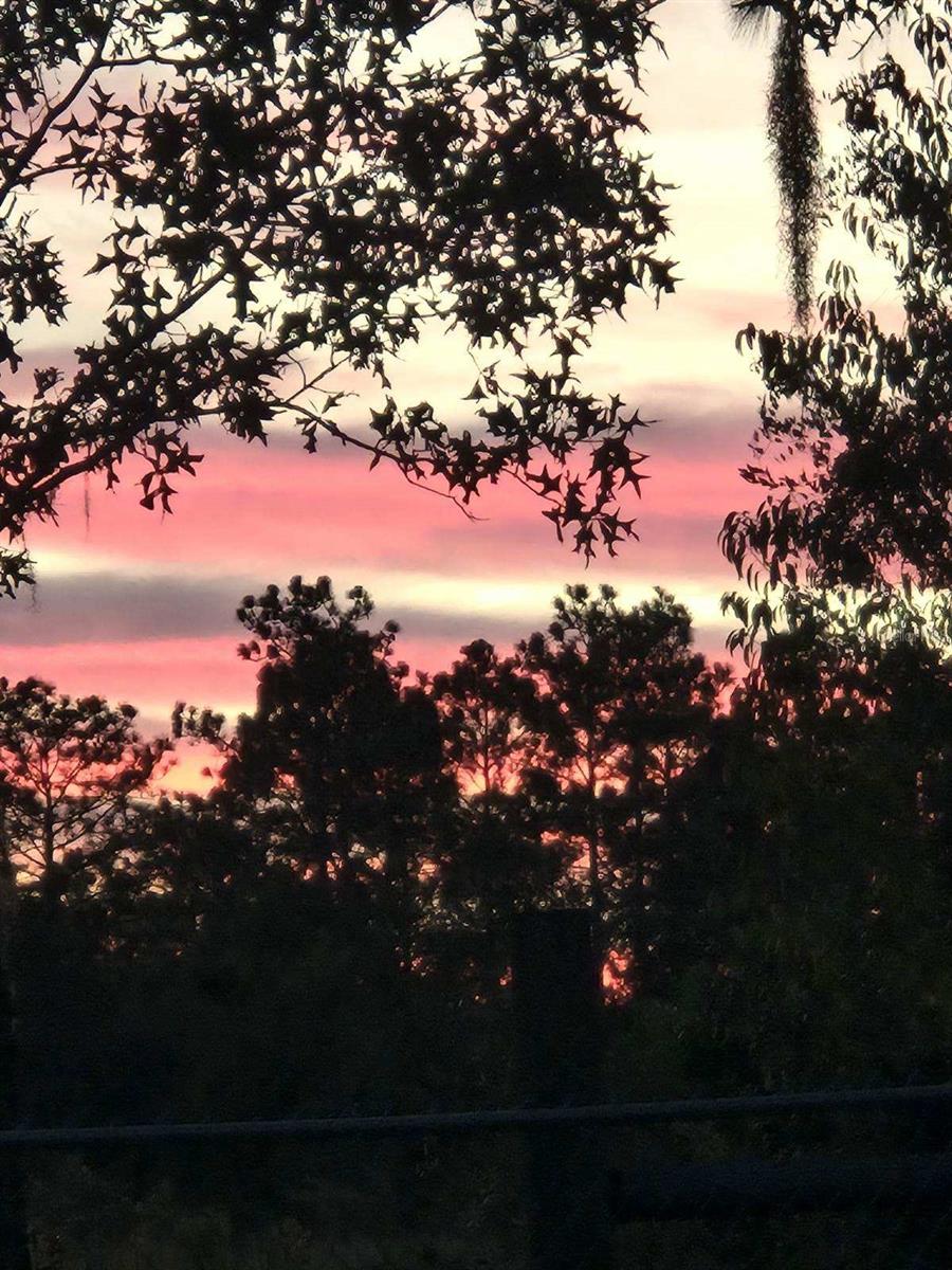 WILLISTON HYLNDS GOLF & C CLUB ESTATE - Residential