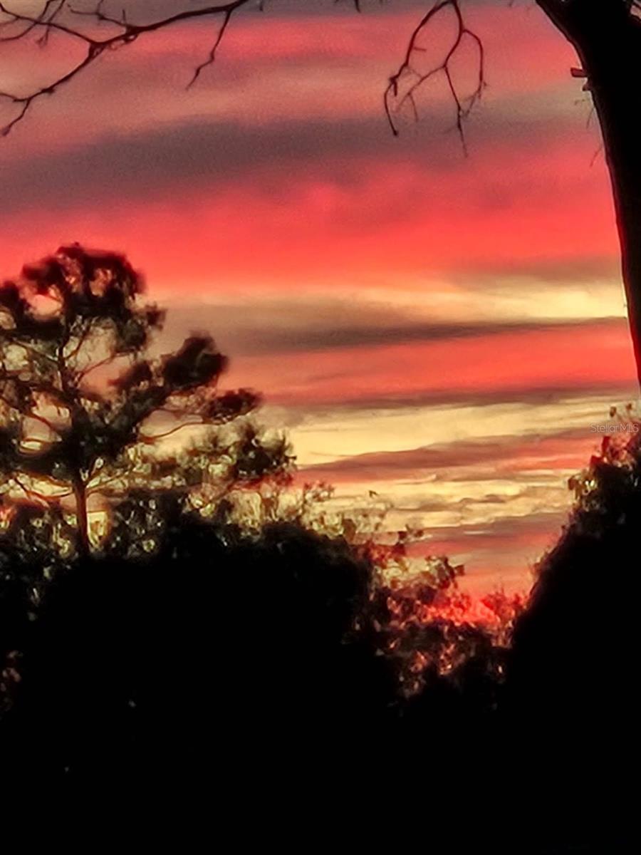 WILLISTON HYLNDS GOLF & C CLUB ESTATE - Residential