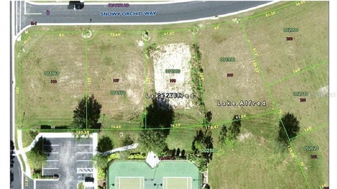 Photo of 225 N Snowy Orchid Way, Lake Alfred, FL 33850 (MLS # S5156922)