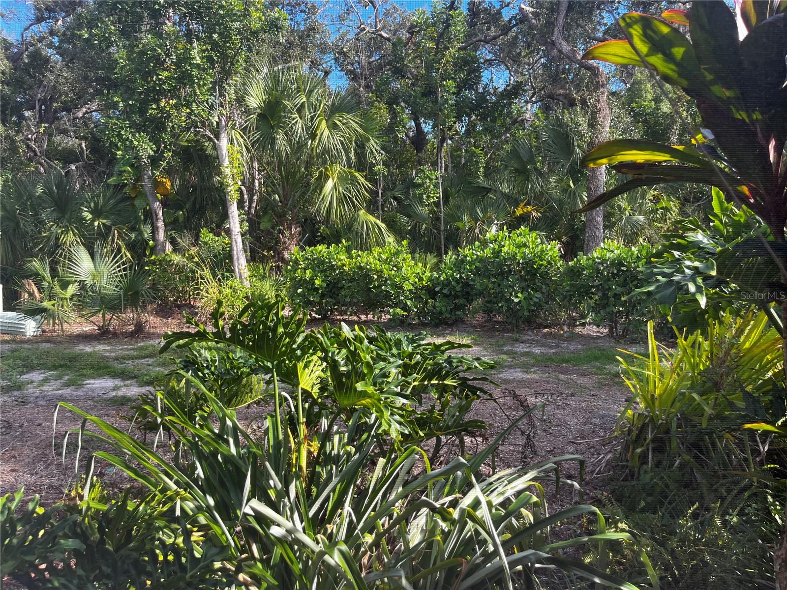 VILLAS AT DEER CREEK - Residential