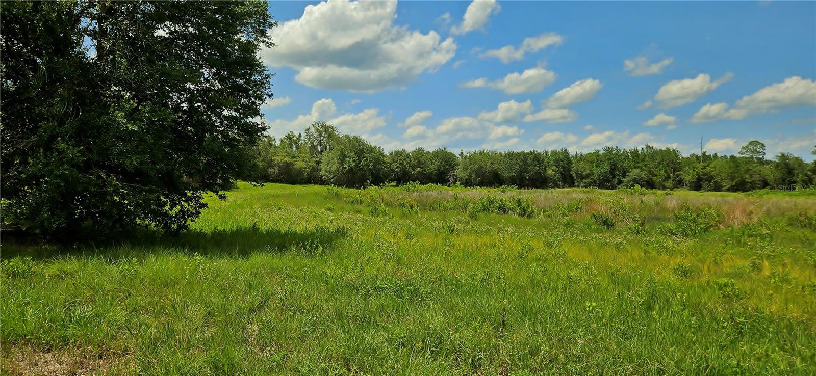 MAMMOTH GROVE ROAD