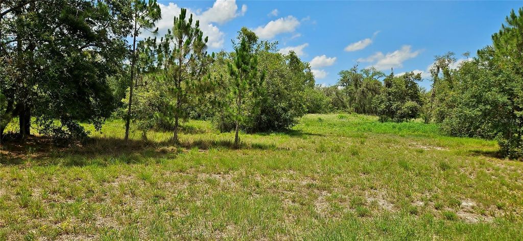 Photo of Mammoth Grove Road, Lake Wales, FL 33898 (MLS # P4935027)