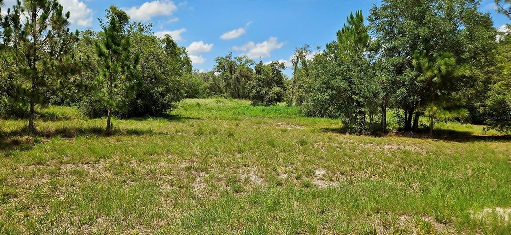 Photo of Mammoth Grove Road, Lake Wales, FL 33898 (MLS # P4935027)