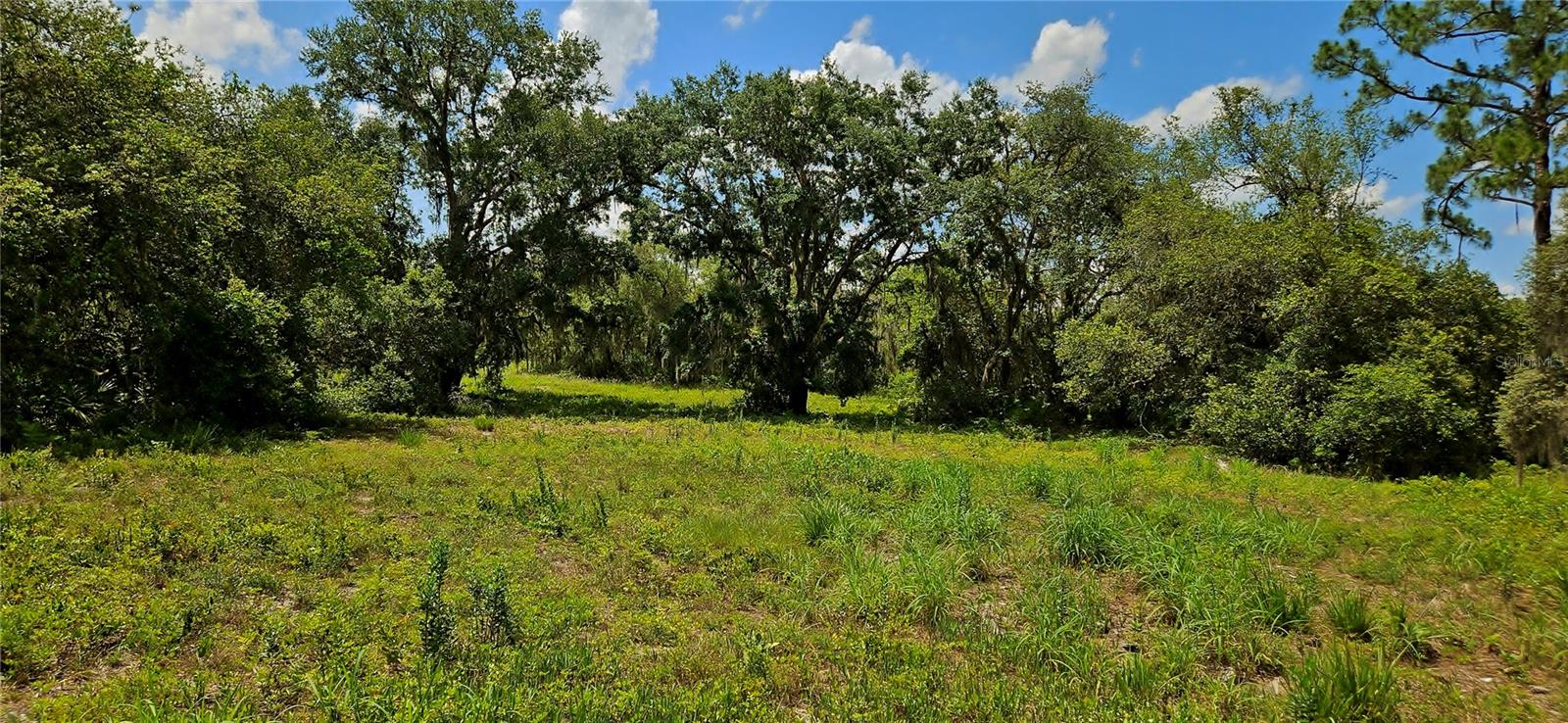 MAMMOTH GROVE ROAD