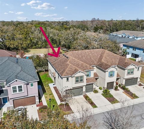 Photo of 6867 Citrus Creek Lane, Tampa, FL 33625 (MLS # TB8479909)
