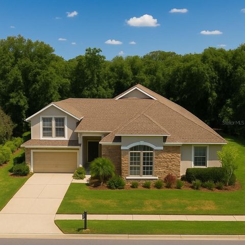 326 LARGOVISTA DRIVE OAKLAND FL 34787