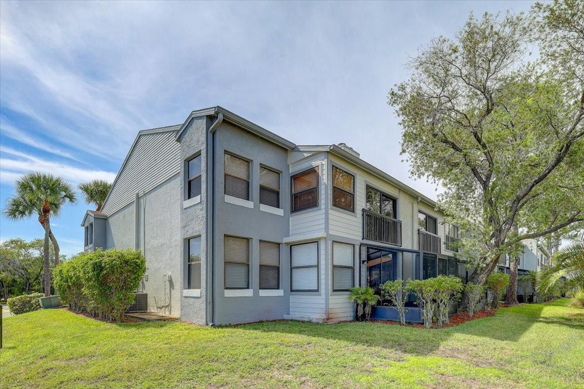 1952 LAUGHING GULL LANE 1426