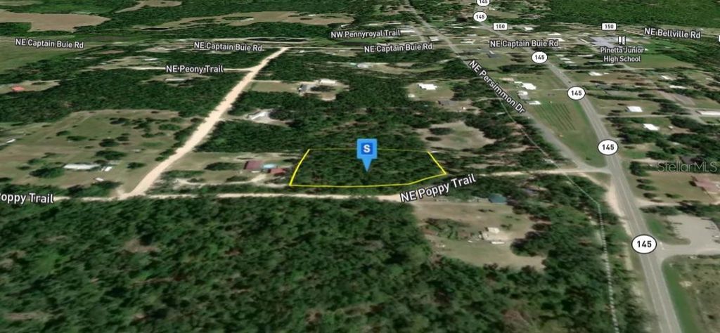 Photo of 200 NE Poppy Trail, Pinetta, FL 32350 (MLS # A4683698)
