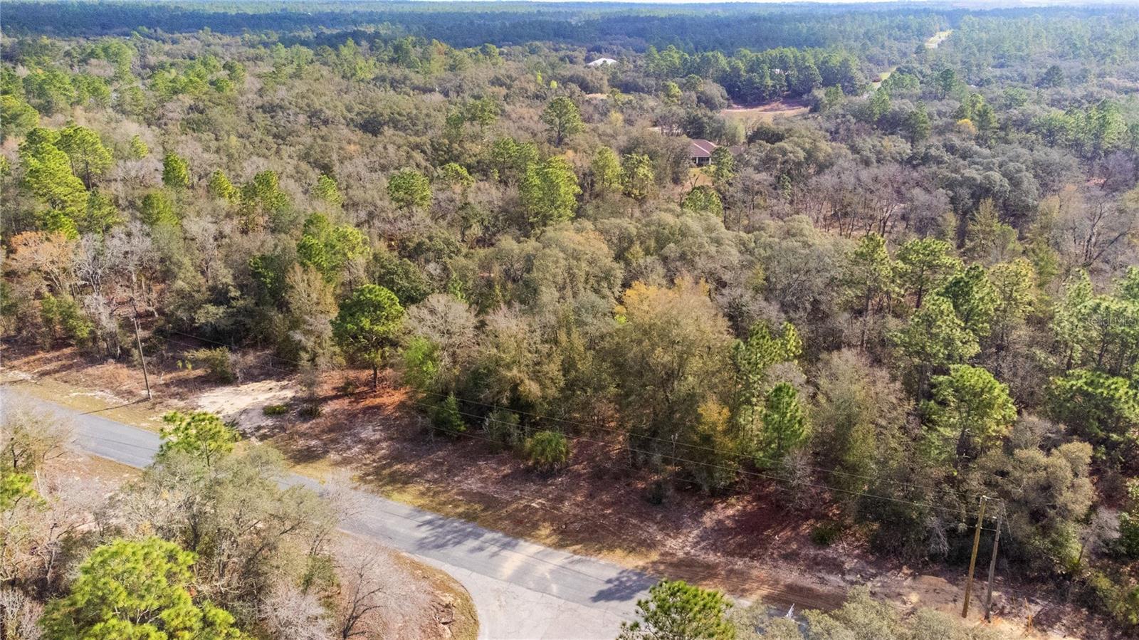 2257 N STAMPEDE DRIVE