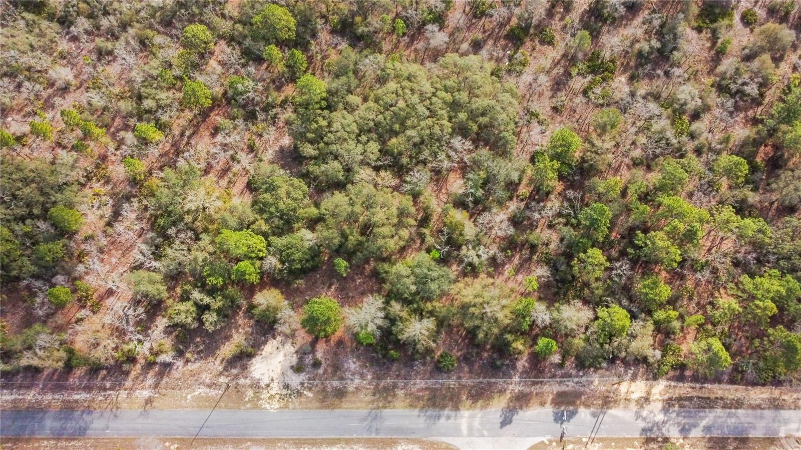 PINE RIDGE UNIT 02 - Land