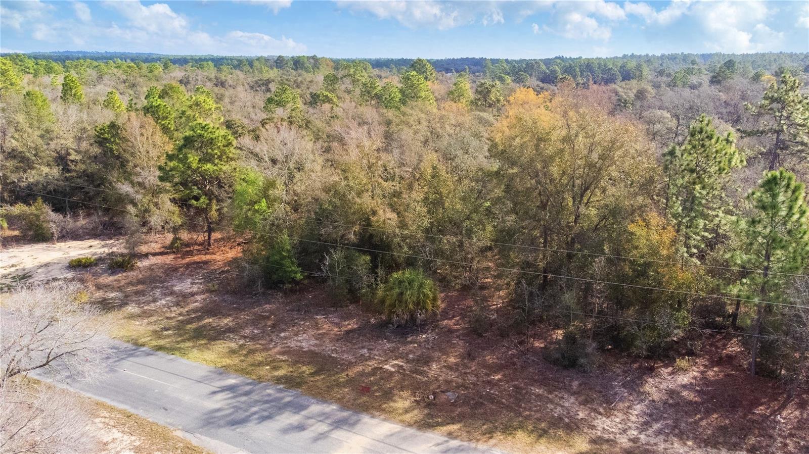 2257 N STAMPEDE DRIVE