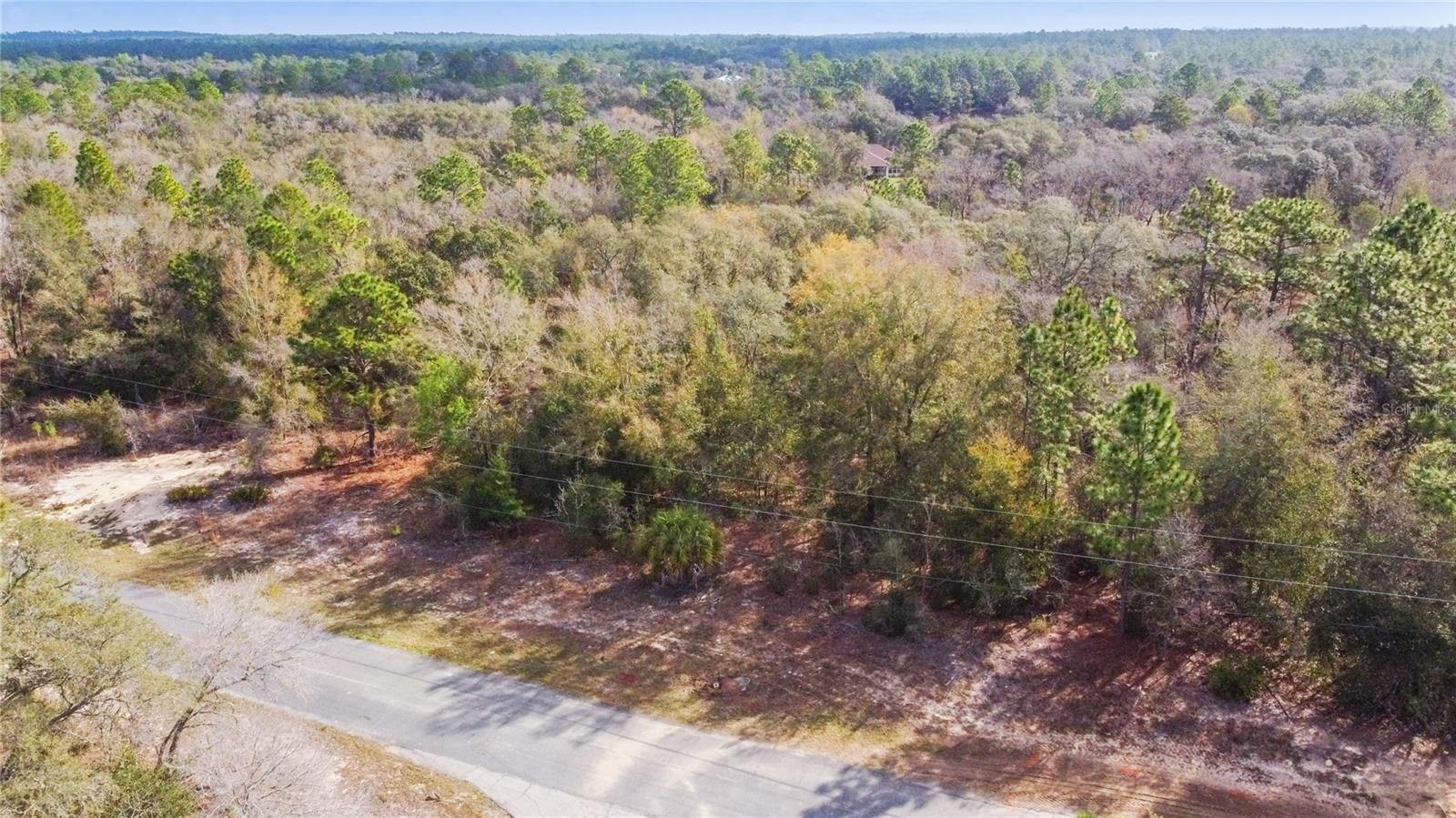 2257 N STAMPEDE DRIVE