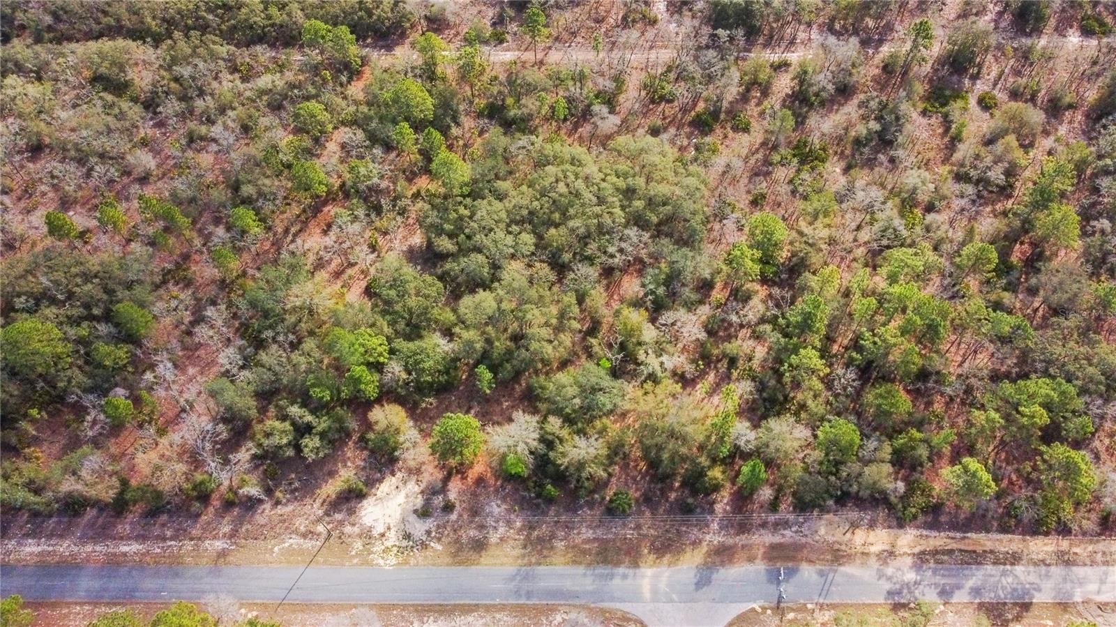 PINE RIDGE UNIT 02 - Land