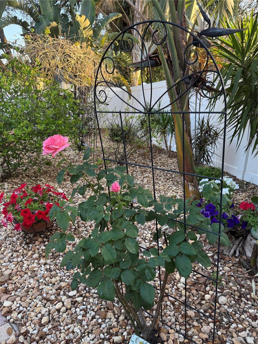 BUCKINGHAM - Residential