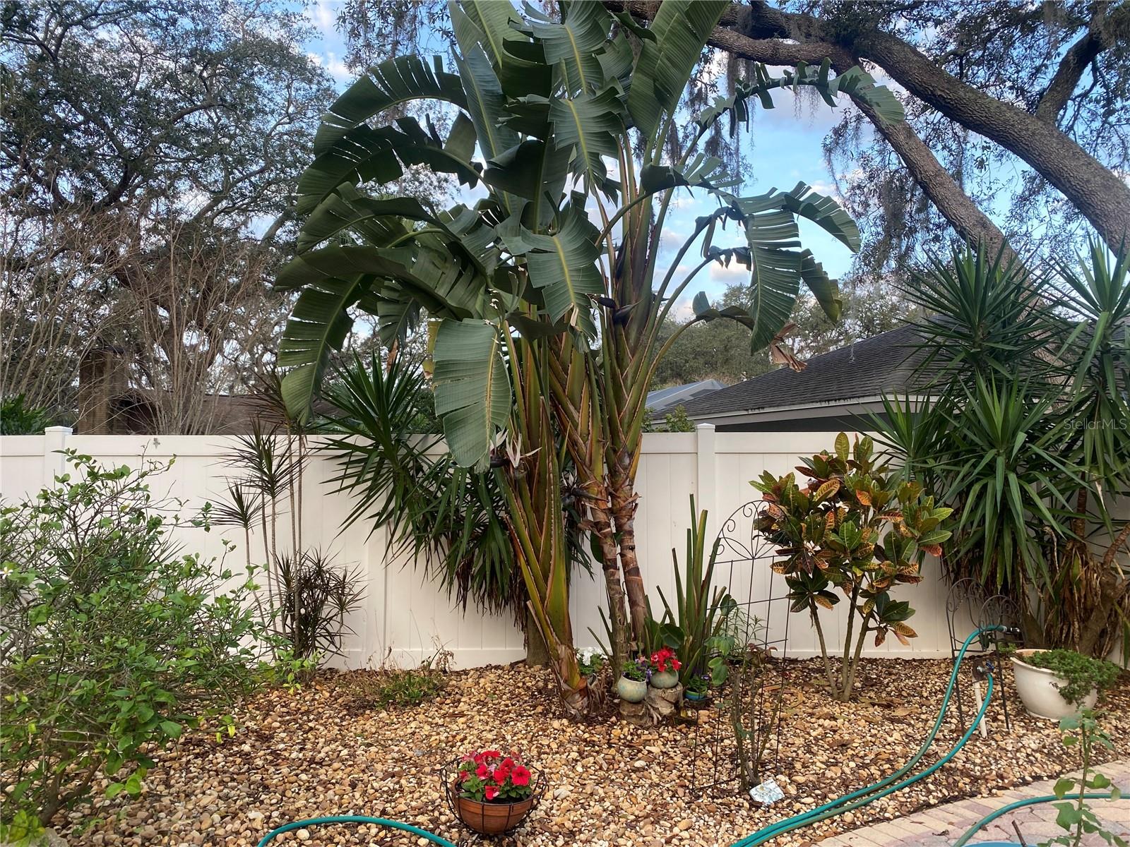 BUCKINGHAM - Residential