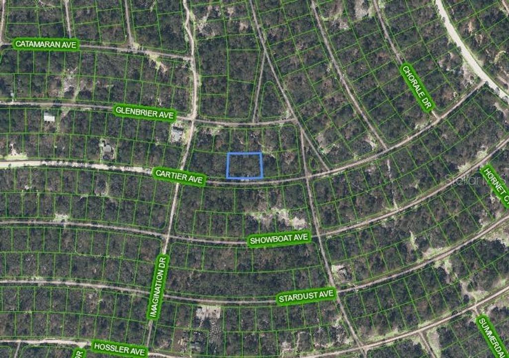 Photo of 354 Cartier Avenue, Lake Placid, FL 33852 (MLS # P4936020)