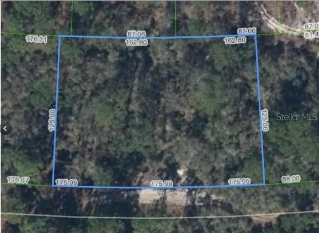 Photo of 354 Cartier Avenue, Lake Placid, FL 33852 (MLS # P4936020)