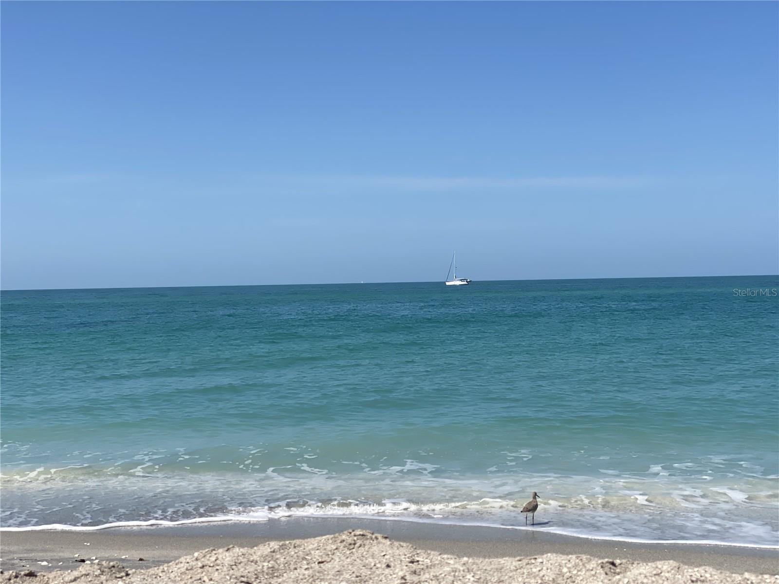 ARLINGTON COVE - Residential