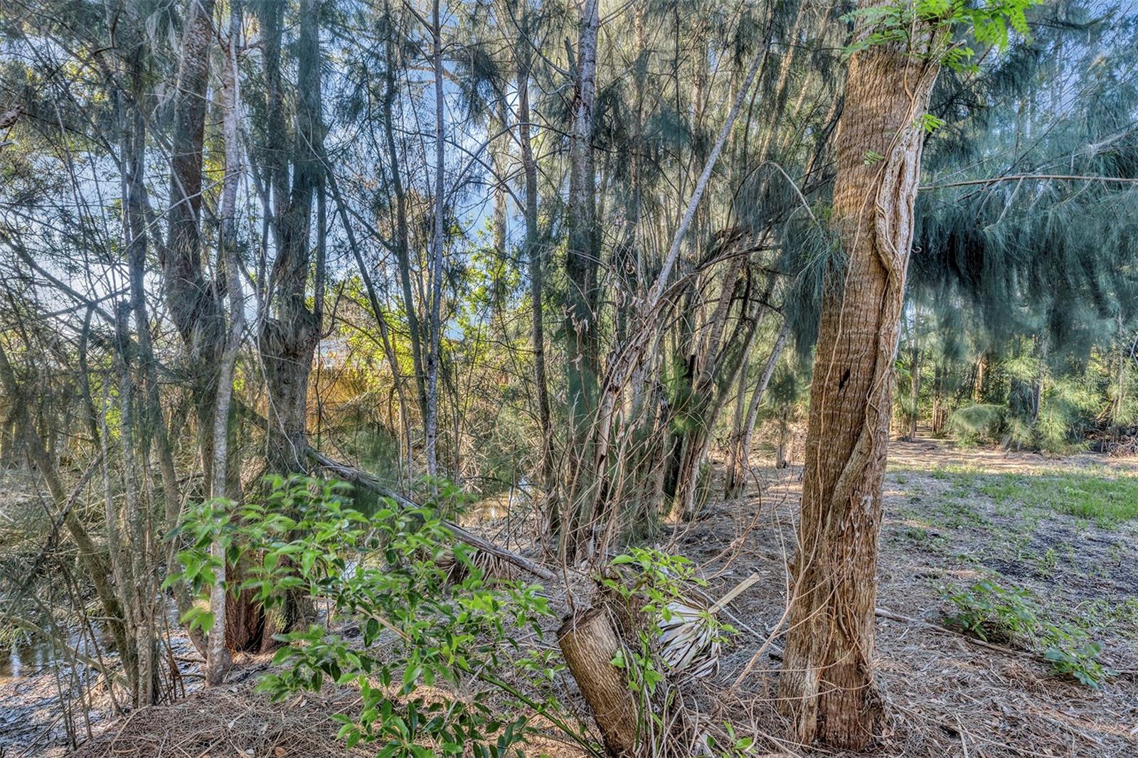 TURNBULL SHORES LTS 1000-1257 INC - Residential