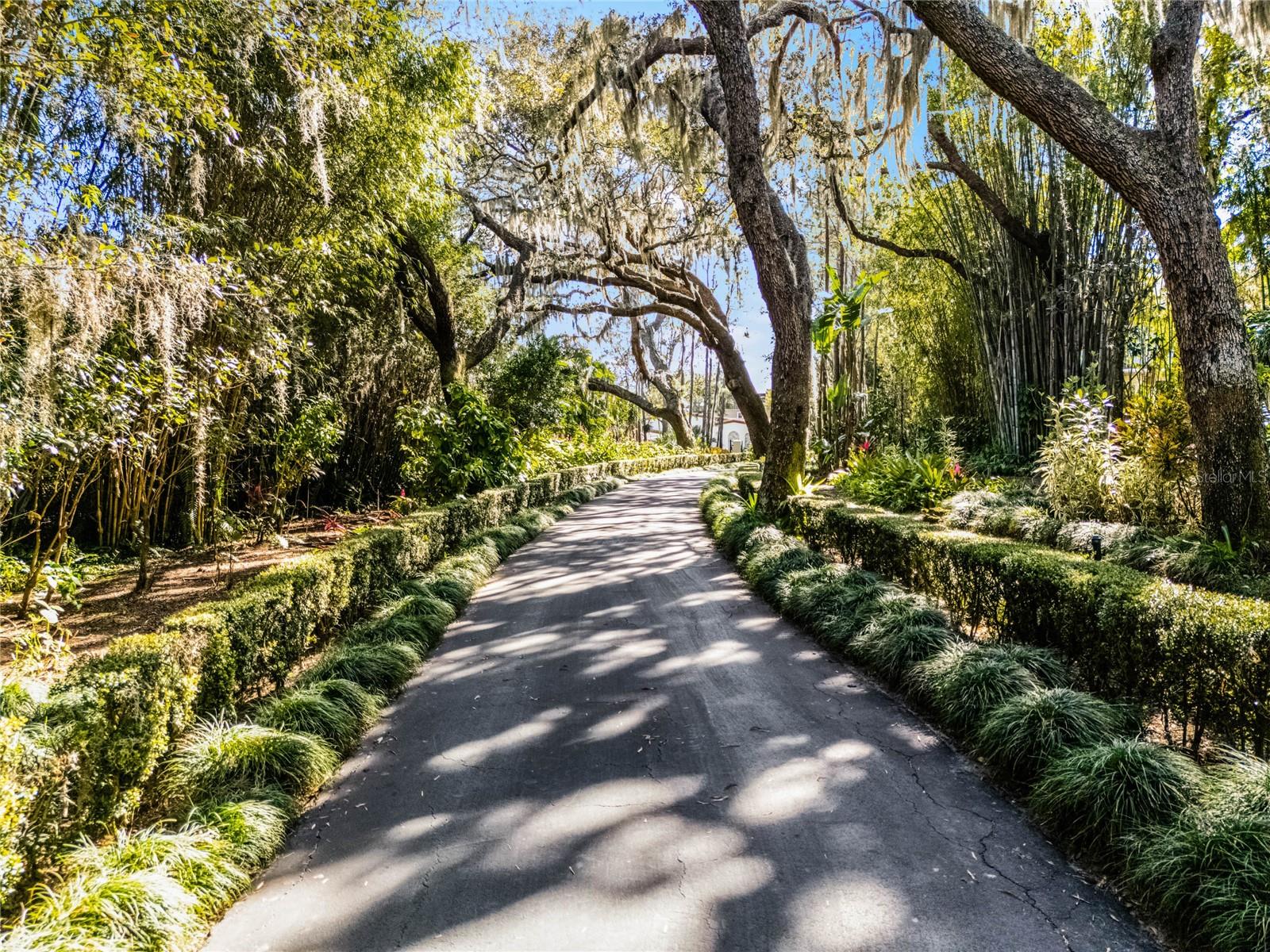 WINDERMERE TOWN - Residential