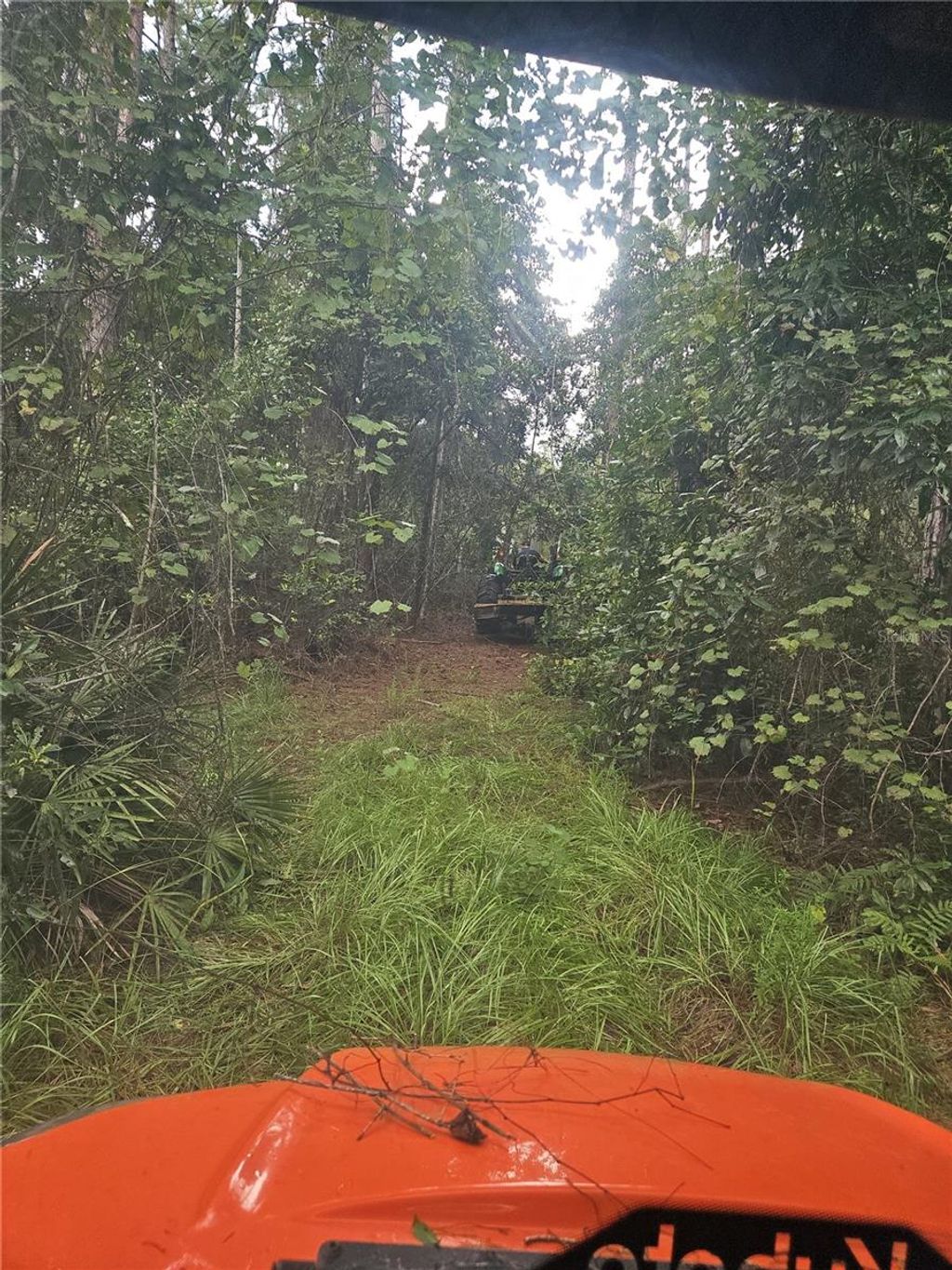 Photo of 1255 Black Bear Ranch Trail, Pierson, FL 32180 (MLS # O6377028)