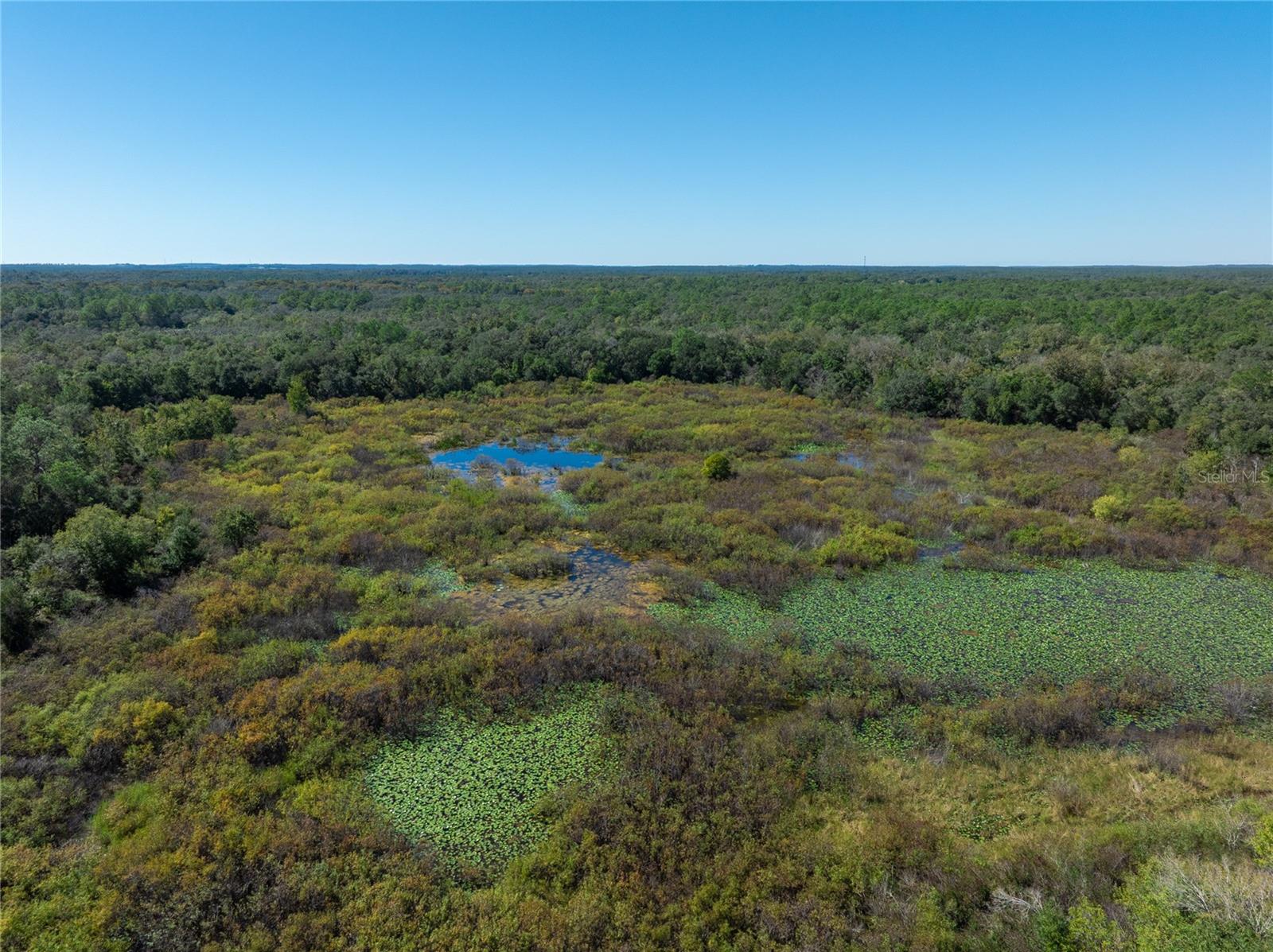 RIDGE MANOR ESTATE - Land