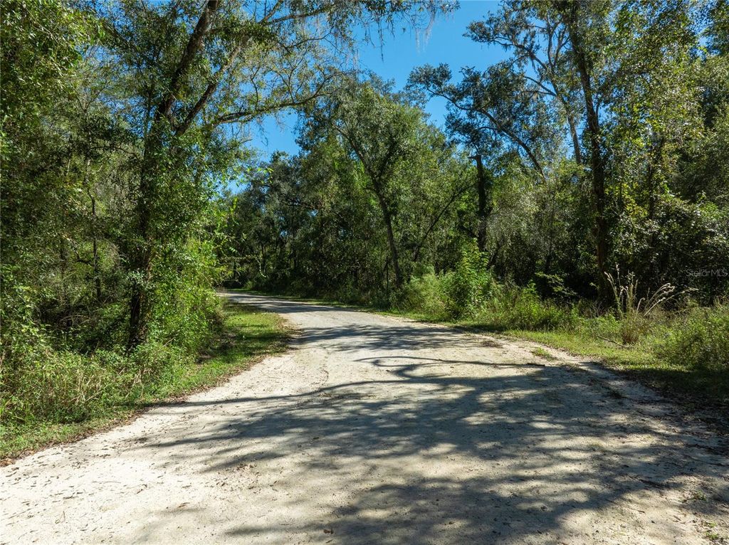 Photo of 1 Chipstone Street, Webster, FL 33597 (MLS # C7517202)