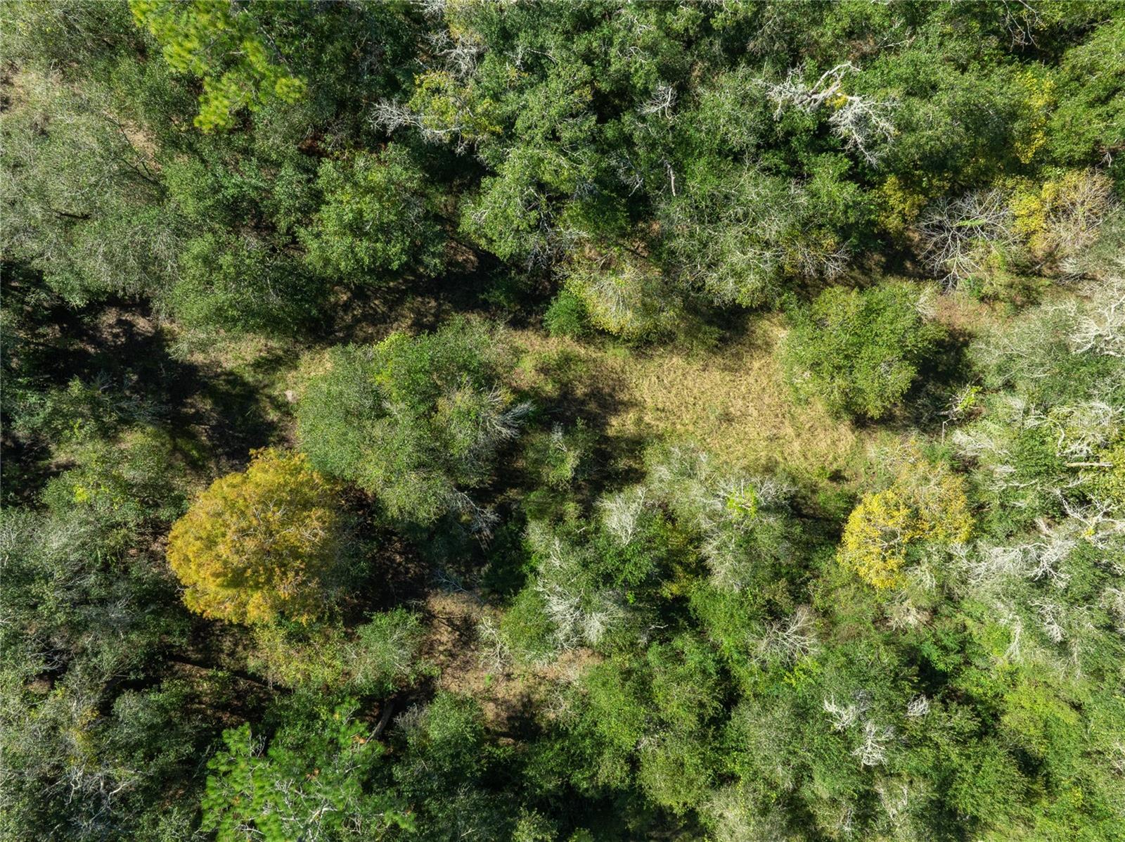 RIDGE MANOR ESTATE - Land