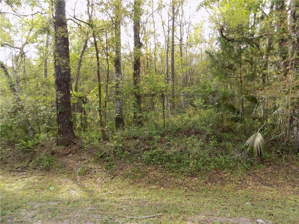 Amazing opportunity to own land in the ever popular Avalon Park Area. Over 3 acres of pristine land waiting for development. A short distance away from Avalon Park S Blvd. Please be careful with wildlife in the property. Adjacent parcel also available for sale.