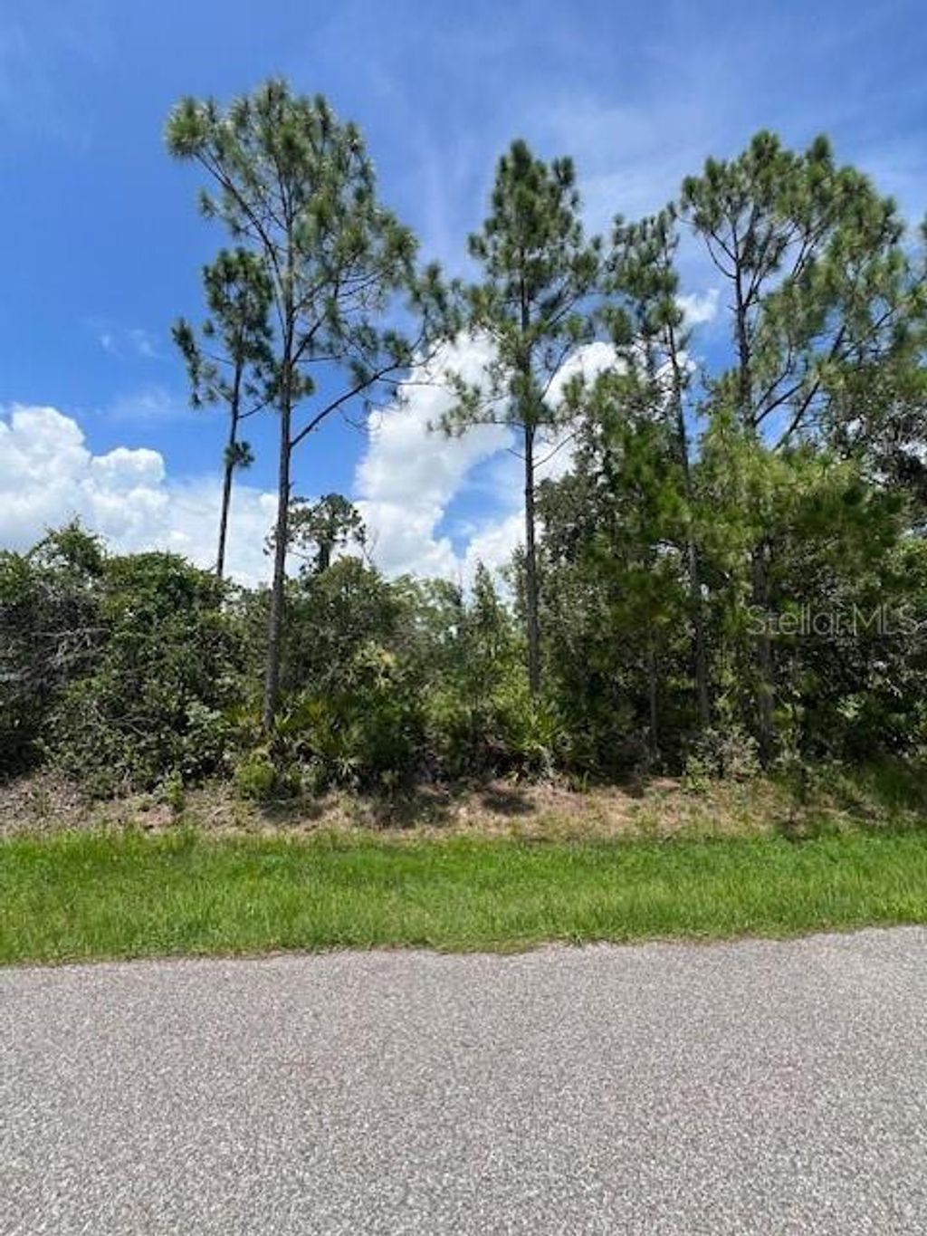 Photo of 23324 Airway Avenue, Punta Gorda, FL 33980 (MLS # C7512403)