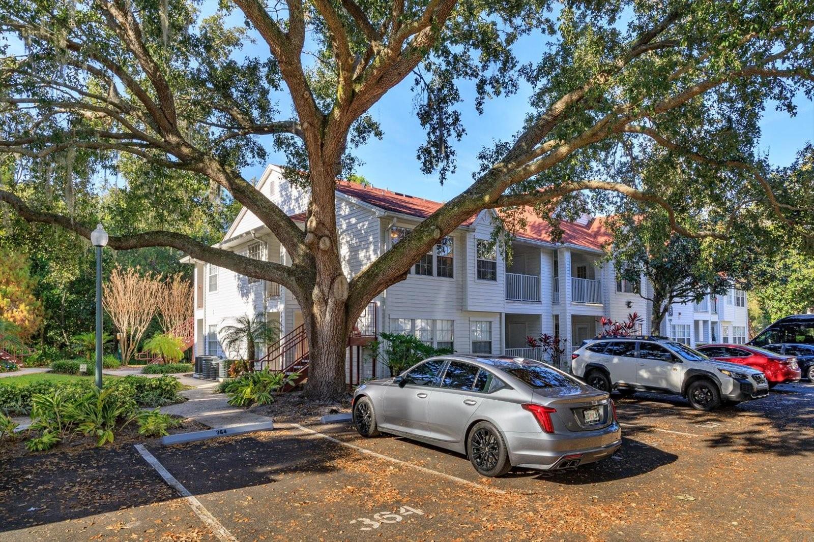 LEXINGTON PLACE - Residential