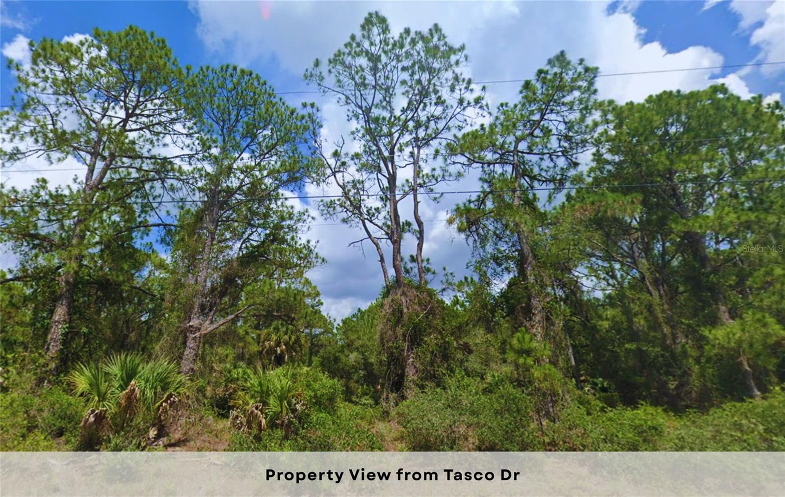 PORT CHARLOTTE SUB 26 - Land