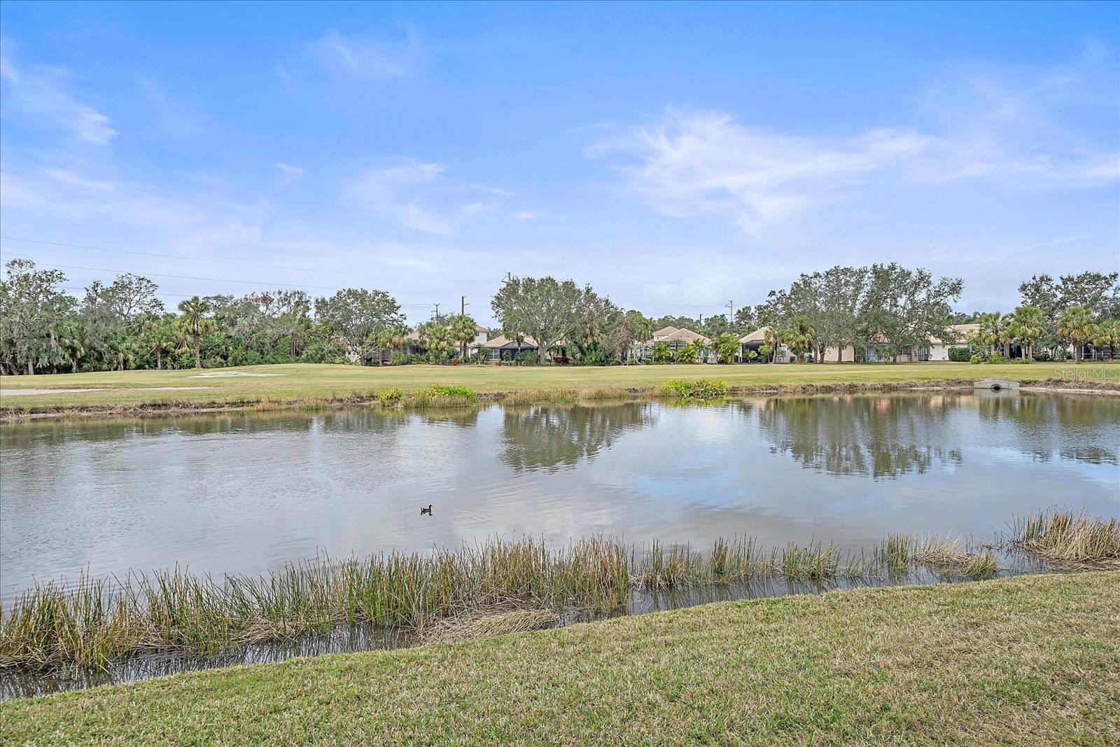 GRAND OAK AT TARA - Residential