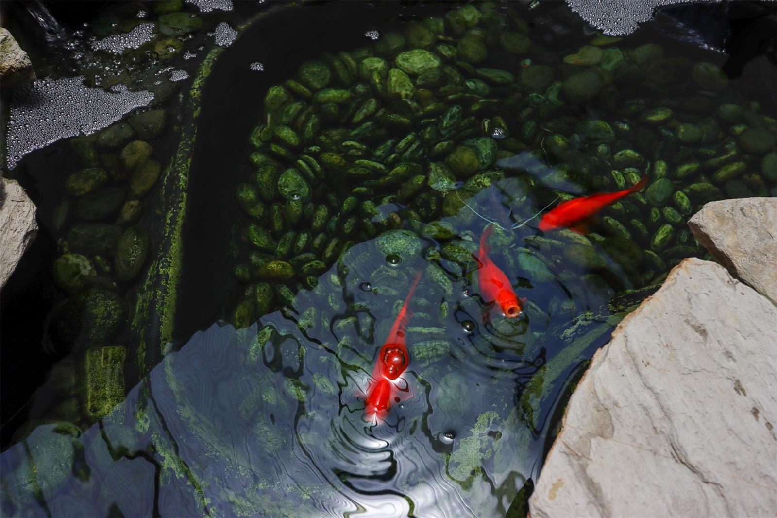 GULF HARBORS WOODLANDS - Residential